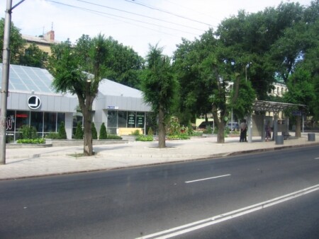 Из жизни деревьев