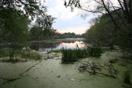 Озеро на закате