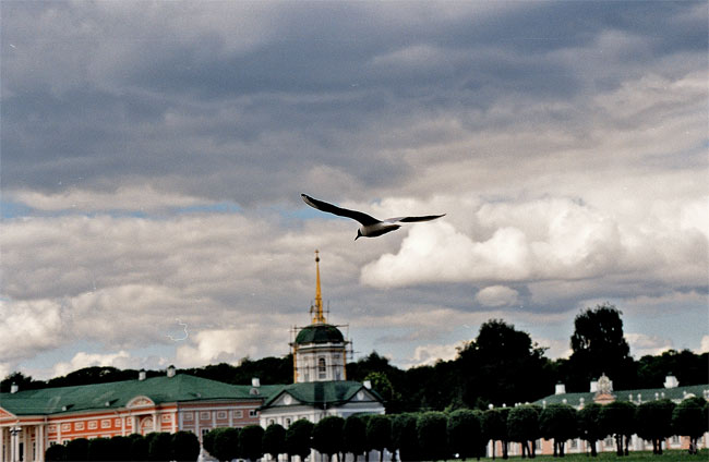 свободная