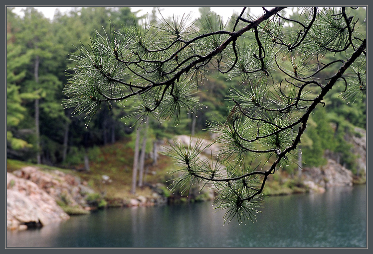 Killarney PP (3)