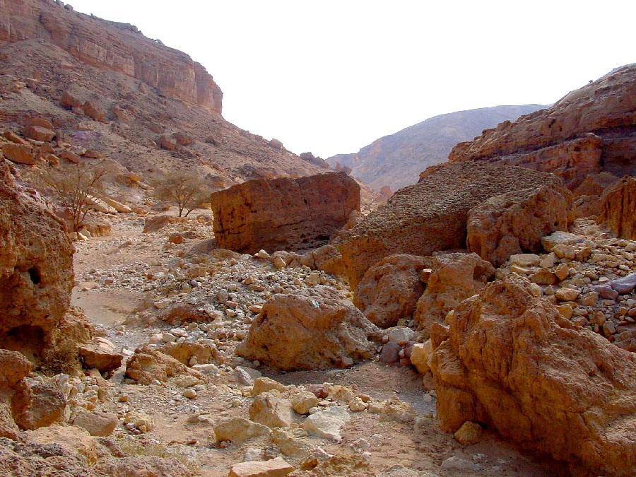 ISRAEL NATIONAL TRAIL в Эйлате (41)