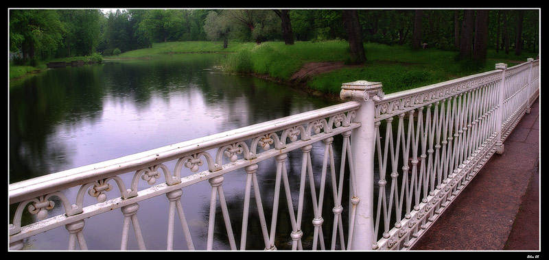 Дождь в парке