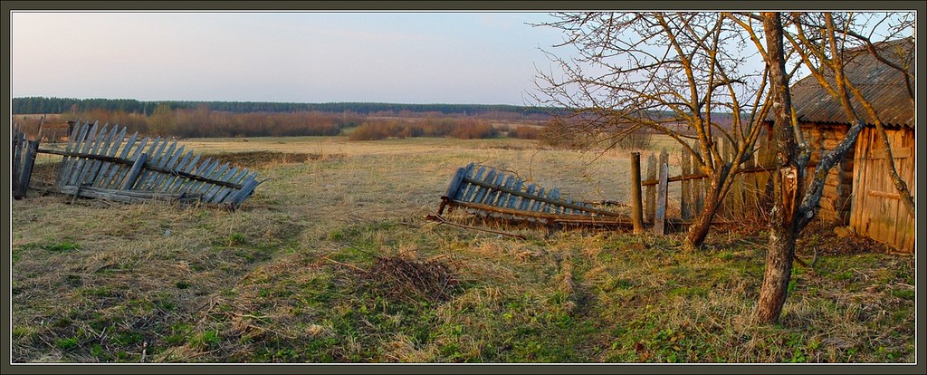 Панорамная картинка с заброшенным садом