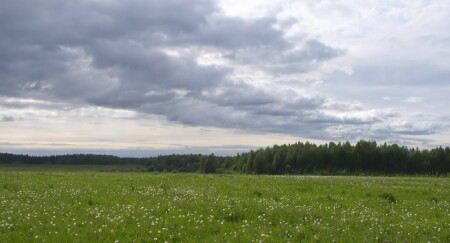 Без названия