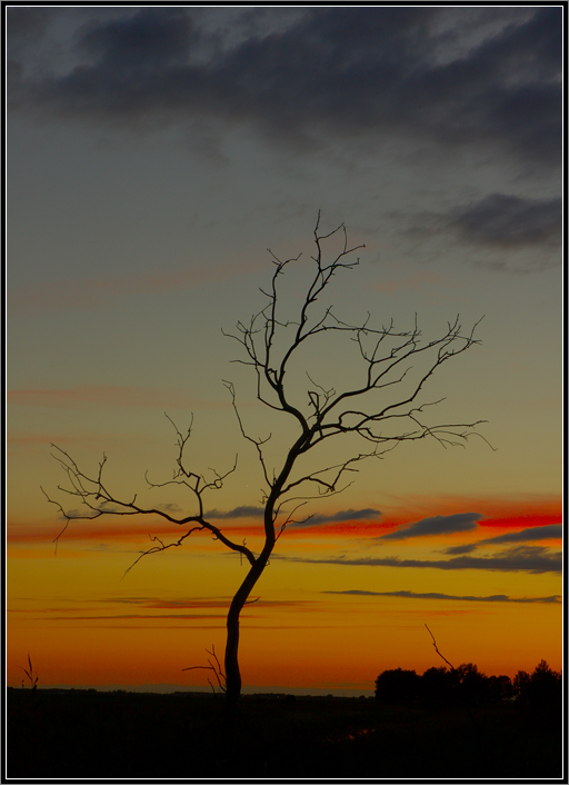 the sundown...