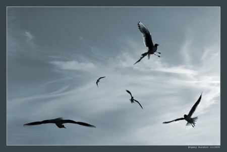 learning to fly...