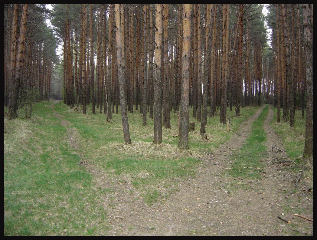 Три...