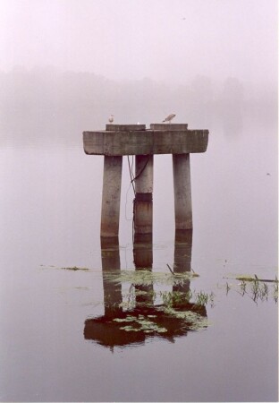 Петербургский туман