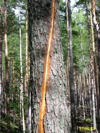 Удар молнии