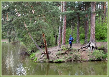 Ловля рыбы в Серебряном Бору