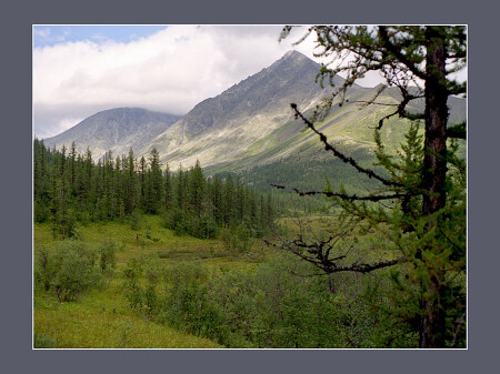 Зеленое и голубое