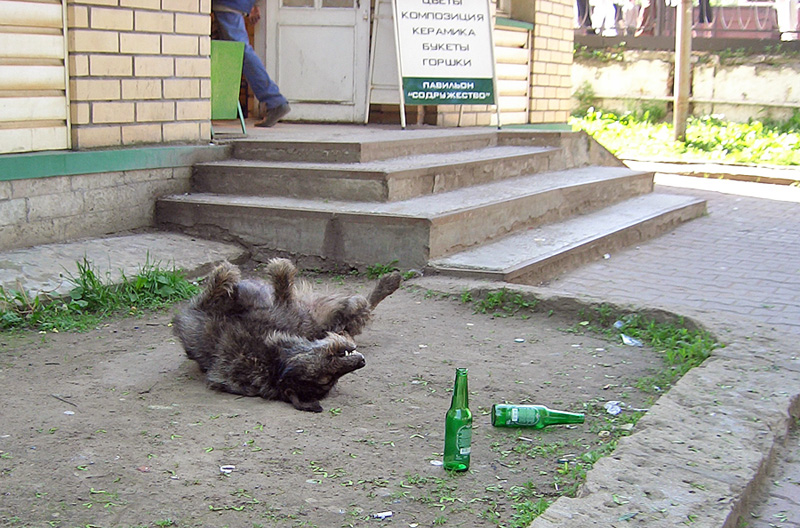 (НЕ)ЖИВИТЕЛЬНОЕ ПИВО