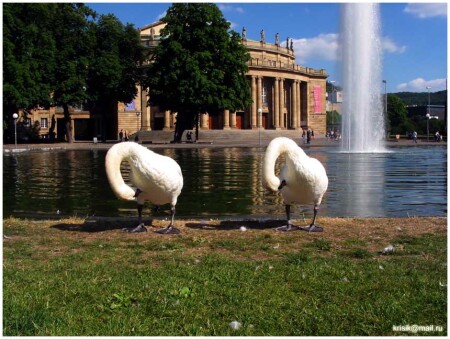 =22= или два веселых гуся