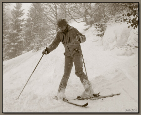 Запуталась