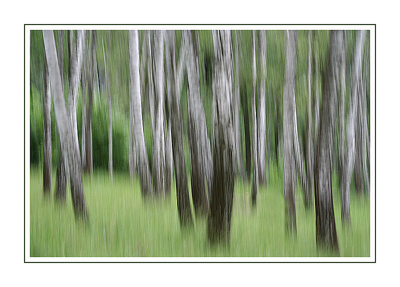 Impressions