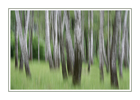 Impressions