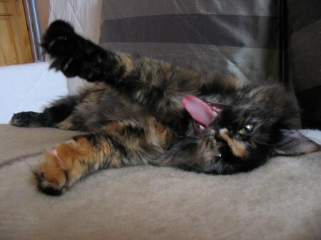 Ой, как сла-а-адко....