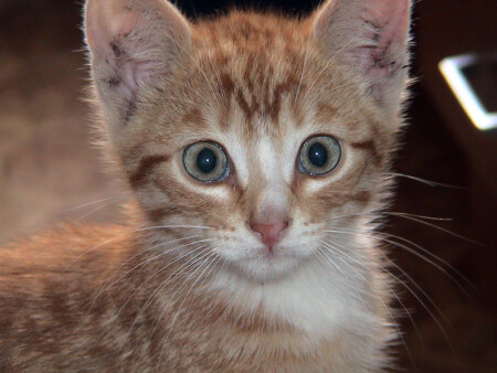 Давай дружить?