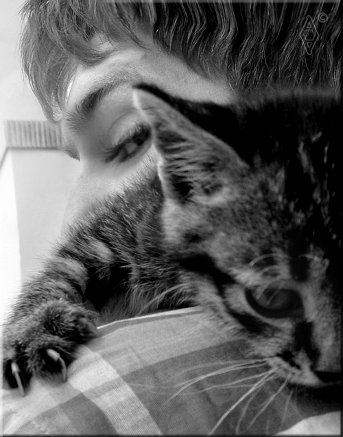 catmanview