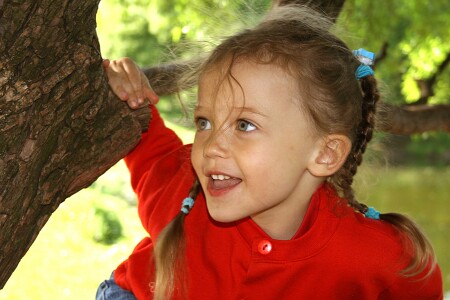 две косички 