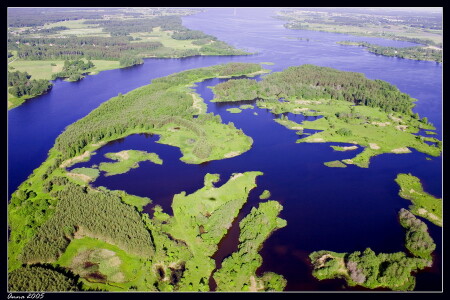 Мир глазами птицы!