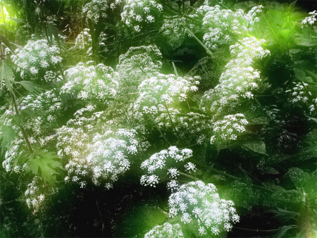 С №2