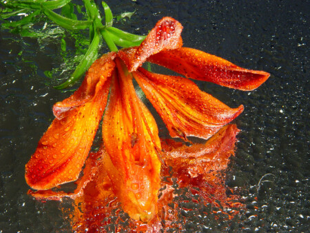 настроение