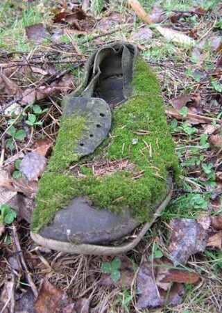 Лесной житель