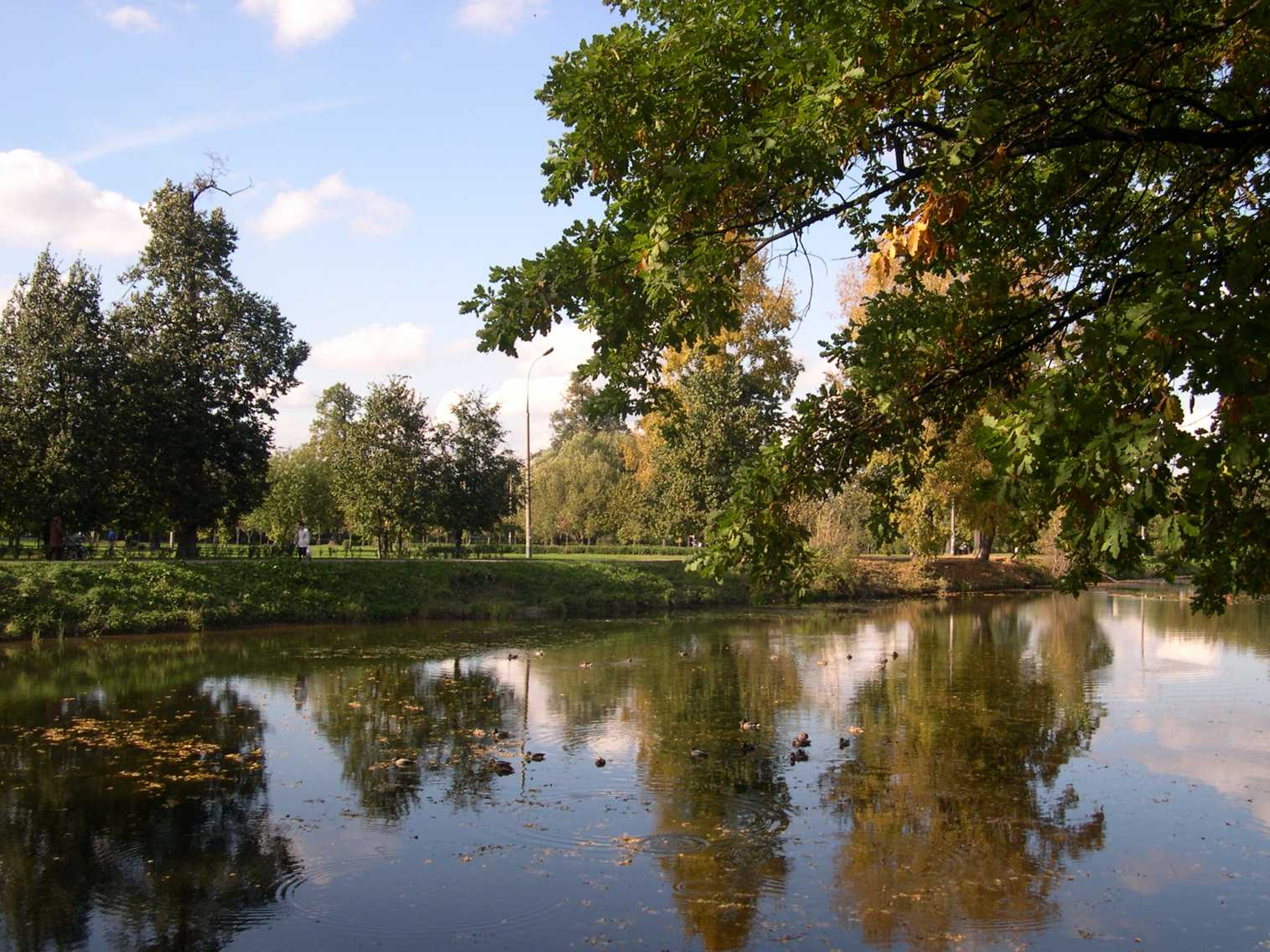 Воронцовский парк.