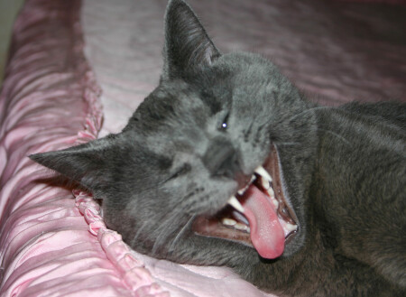 Улыбайтесь - это всех раздражает!