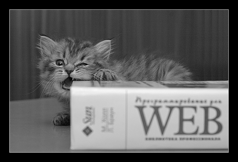 Грррызем основы WEB