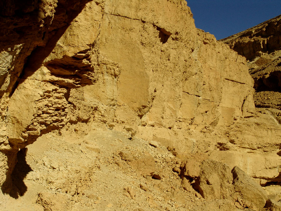 ISRAEL NATIONAL TRAIL в Эйлате (43)