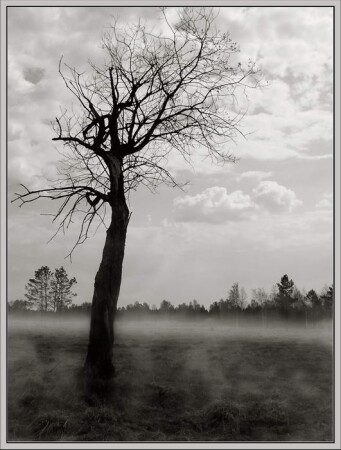 Sleepy hollow