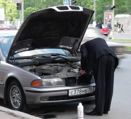 Один открыл пасть, другой склонил голову. 