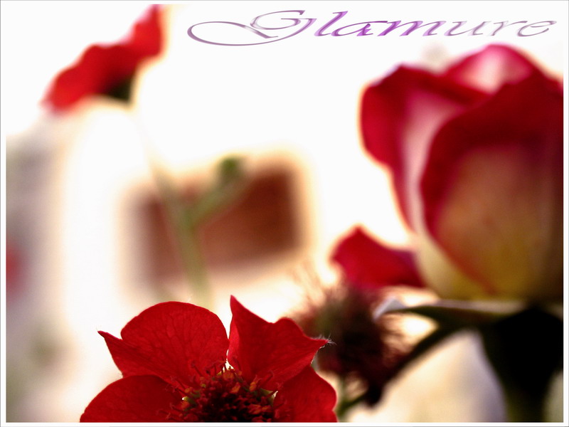 Glamure 