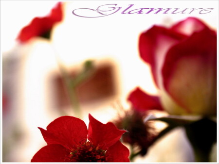 Glamure