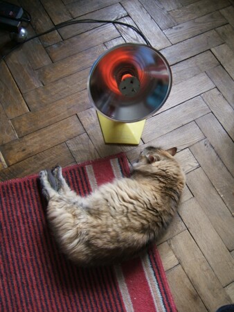 Отопление отключили.