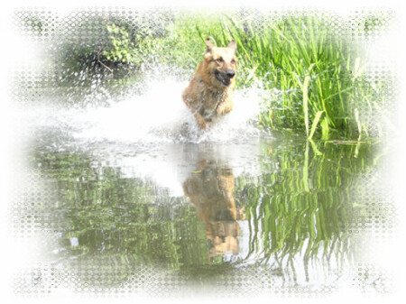 счастье - это просто!