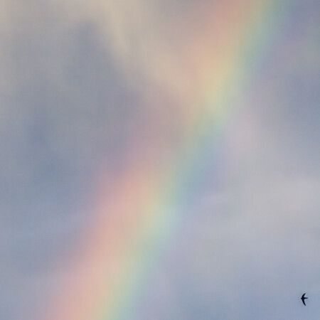 навстречурадуге