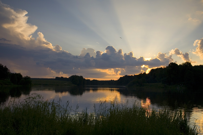 Ангелы