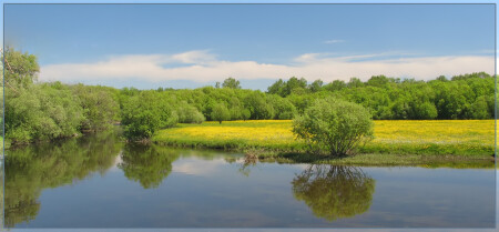 Краски лета
