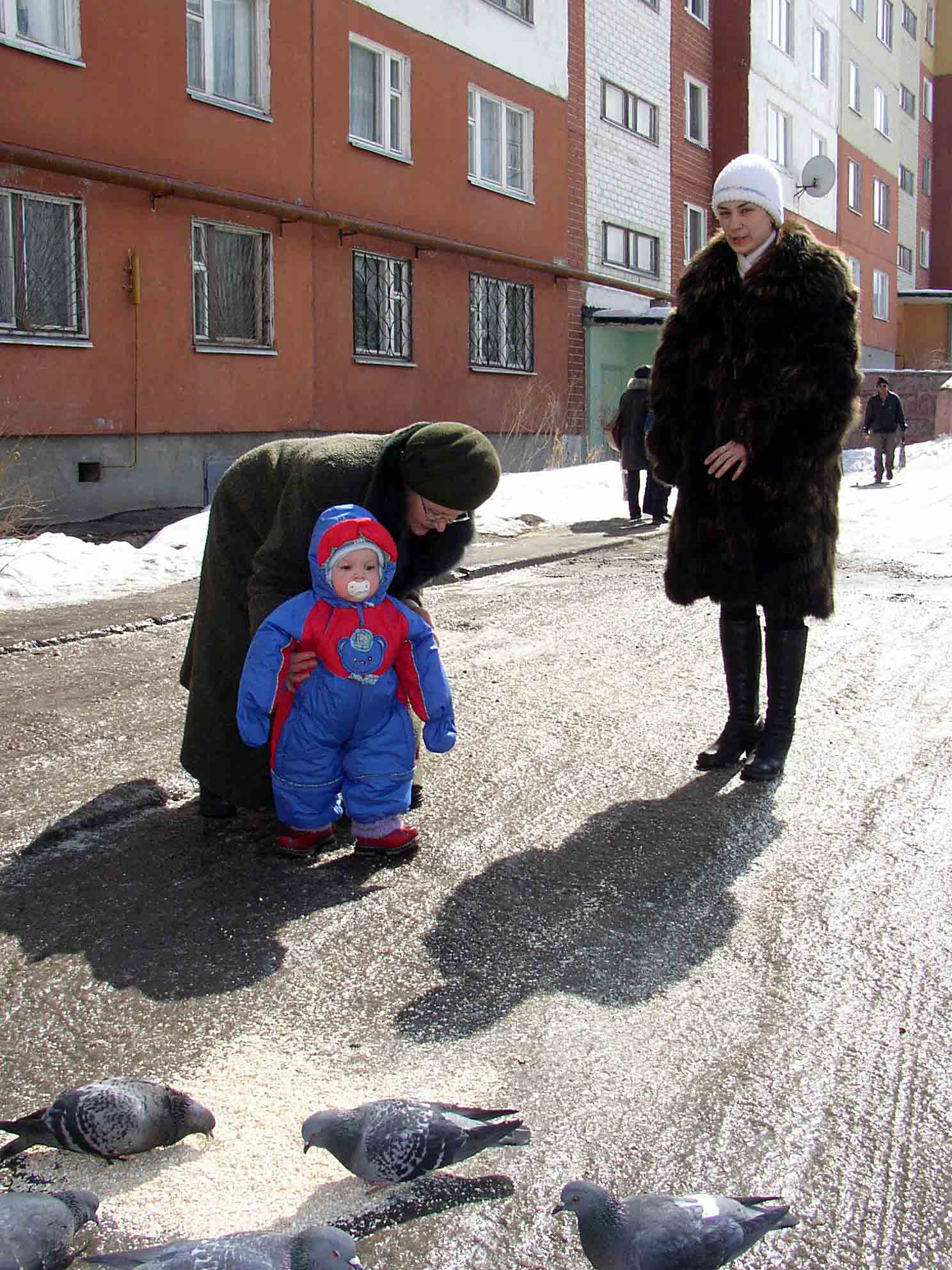 Пойдем голубей покормим...