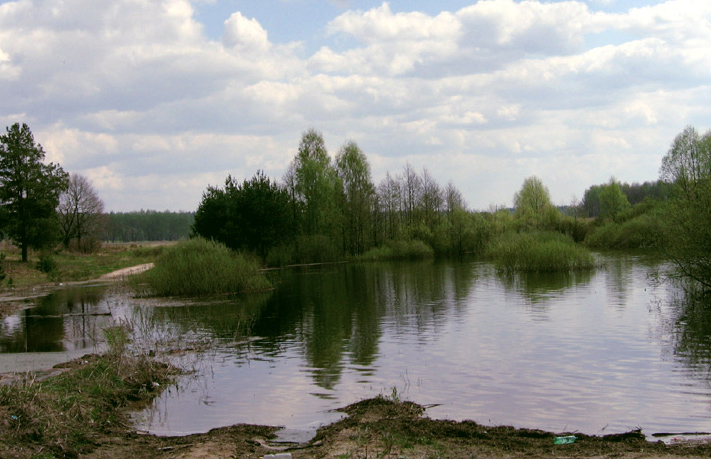весна***