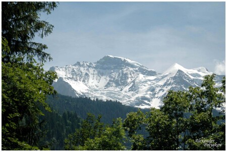 Jungfrau или Девственная гора