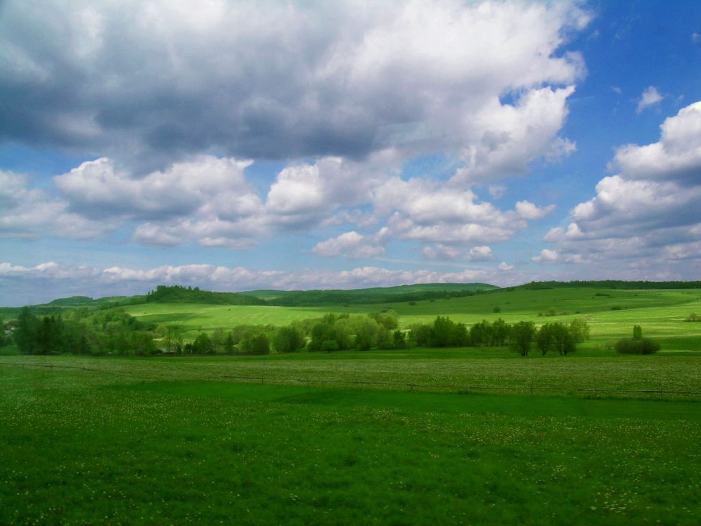 Chezch Bliss