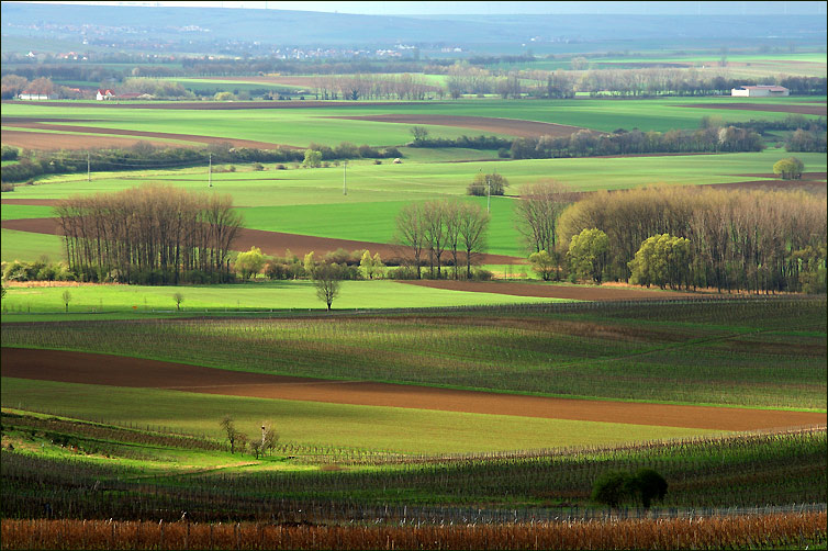 lines&amp;colors (2)