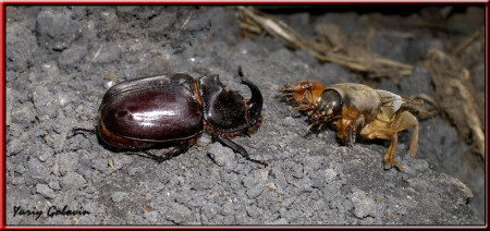 И будет бой.