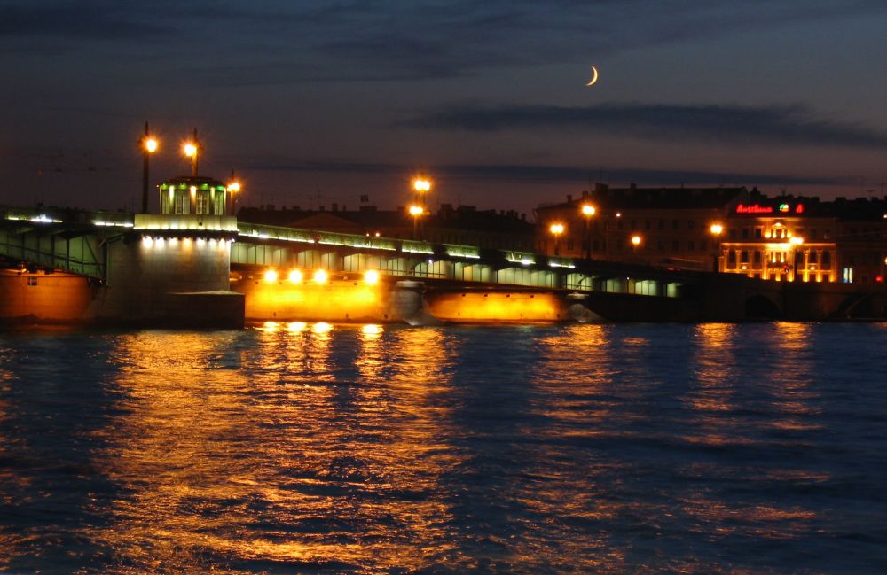 Ночной красавец