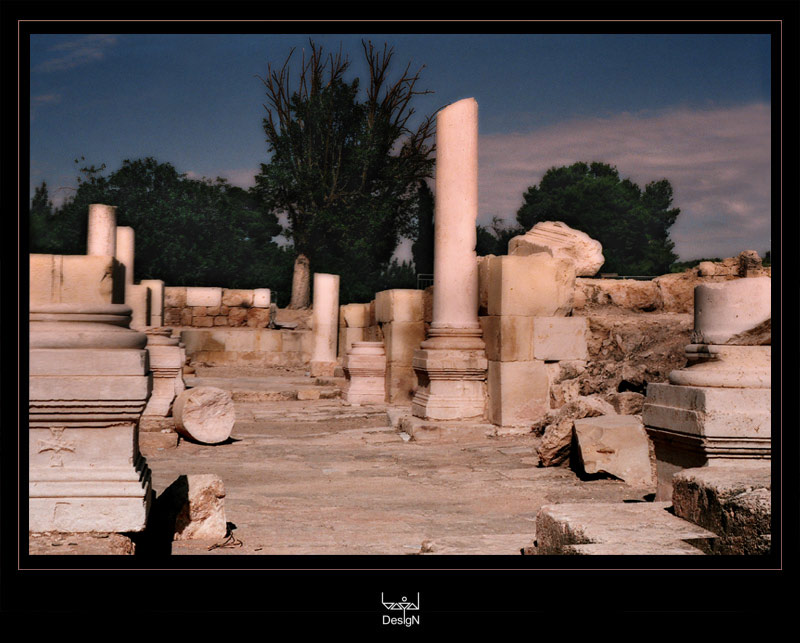 In the Lost City # 1