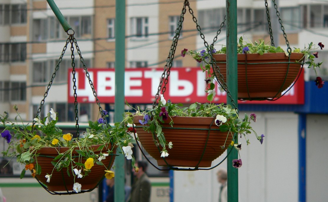 &quot;Цветы&quot;
